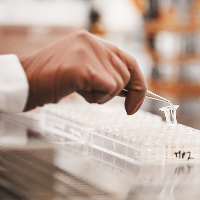 лучшая_альтернатива_IQOS_нагреваемый_пожелтение_зубов